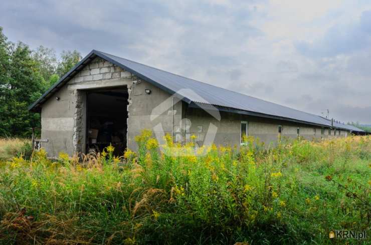 Rogoźnica, ul. , , Lokal użytkowy  na sprzedaż