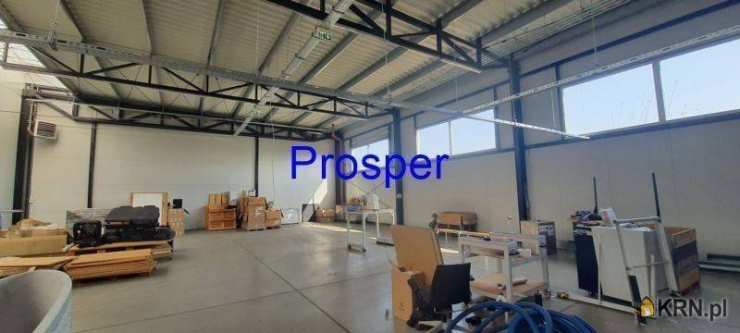 Prosper - Nieruchomości, Lokal użytkowy  do wynajęcia, Gliwice, ul. 