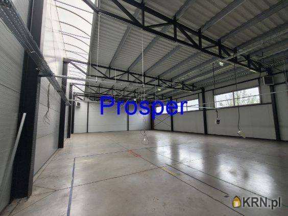 Lokal użytkowy  do wynajęcia, Gliwice, ul. , 