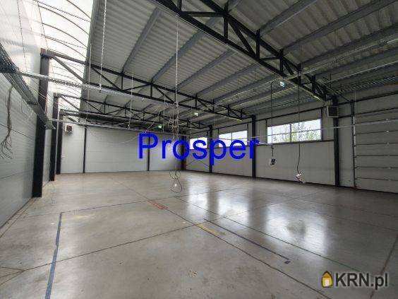 , Gliwice, ul. , Lokal użytkowy  do wynajęcia