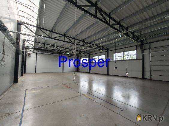, Gliwice, ul. , Lokal użytkowy  do wynajęcia
