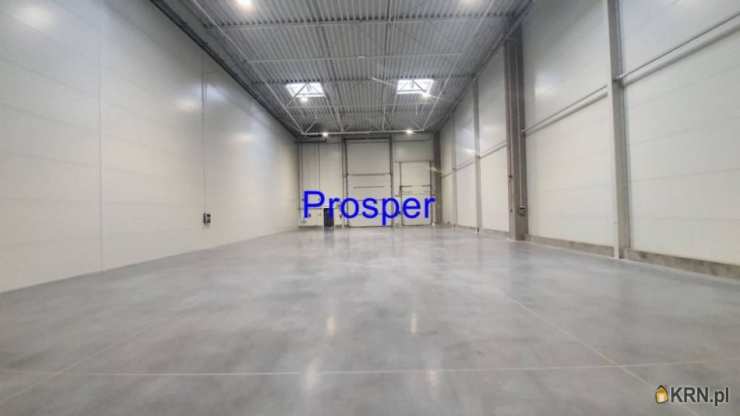 Lokal użytkowy  do wynajęcia, Ruda Śląska, ul. , 