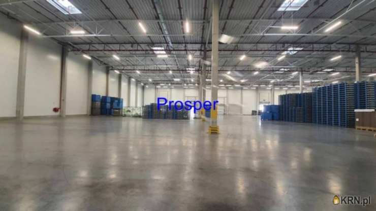 Lokal użytkowy  do wynajęcia, , Bieruń, ul. 