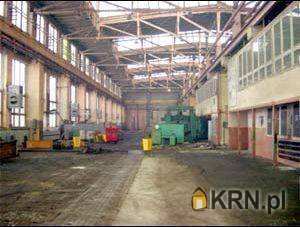 Lokal użytkowy  do wynajęcia, Gliwice, ul. , 