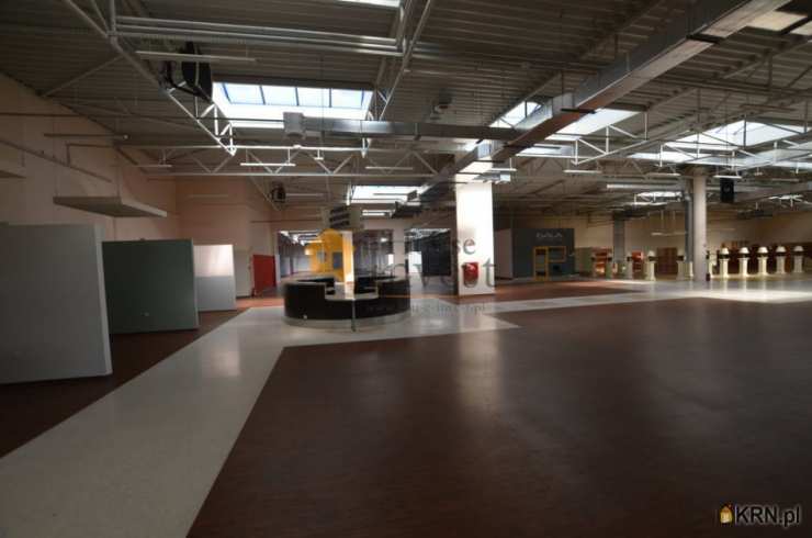 Lokal użytkowy  do wynajęcia, , Głogów, ul. 