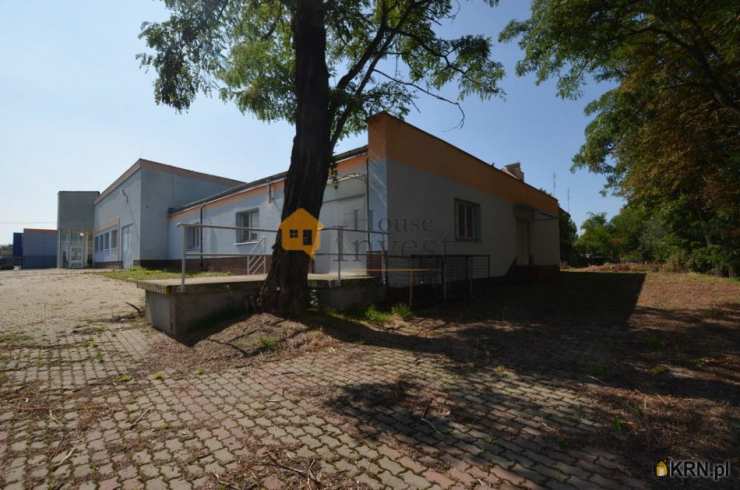 , Lokal użytkowy  do wynajęcia, Głogów, ul. 