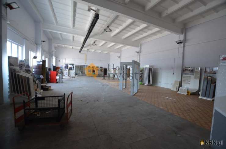 Lokal użytkowy  do wynajęcia, Głogów, ul. , 