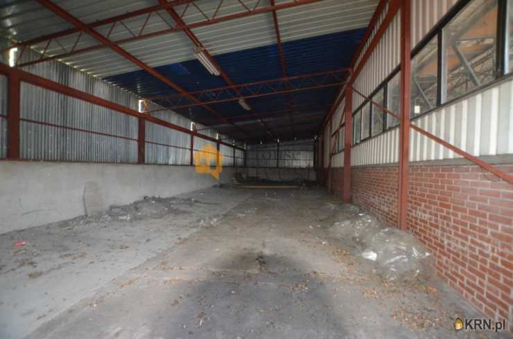 Głogów, ul. , Lokal użytkowy  do wynajęcia, 