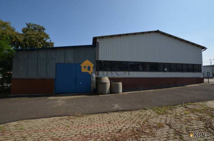 Głogów, ul. , , Lokal użytkowy  do wynajęcia