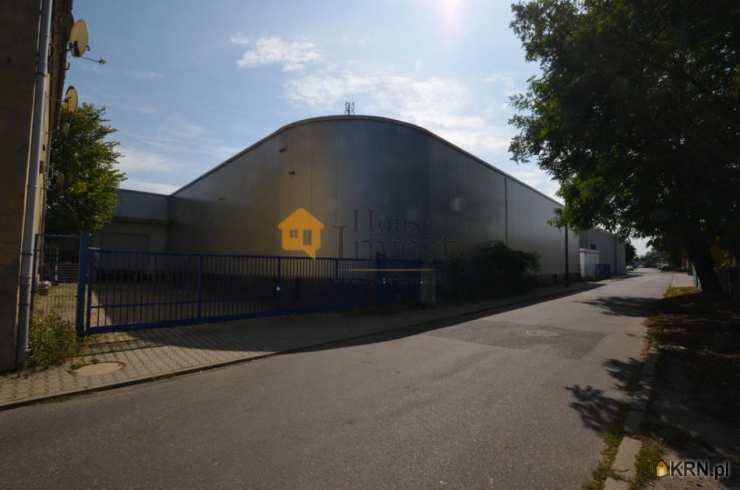 , Głogów, ul. , Lokal użytkowy  do wynajęcia