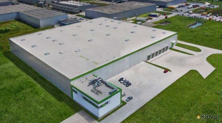 Lokal użytkowy  do wynajęcia, Kórnik, ul. , 