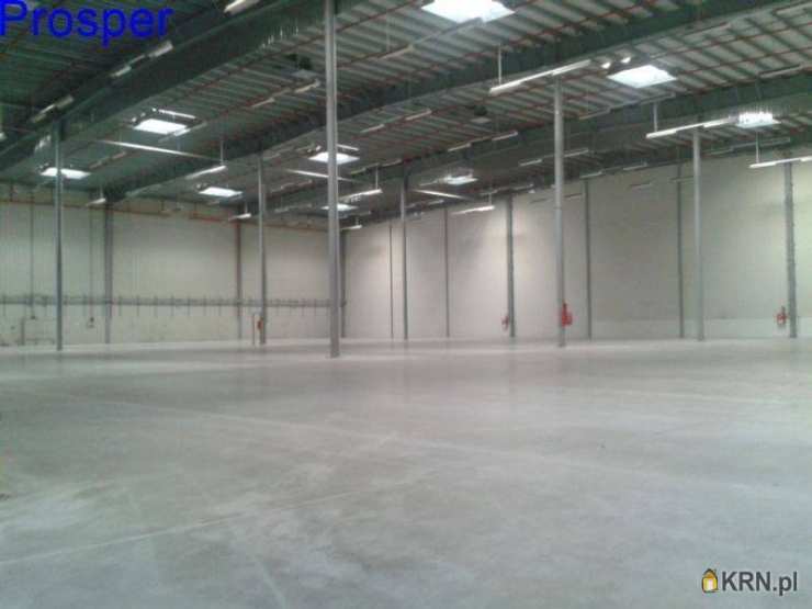 Lokal użytkowy  do wynajęcia, Lędziny, ul. , 