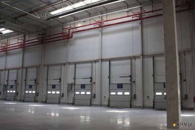 Lokal użytkowy  do wynajęcia, , Legnica, ul. 