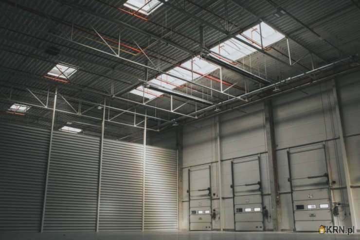 Legnica, ul. , Lokal użytkowy  do wynajęcia, 