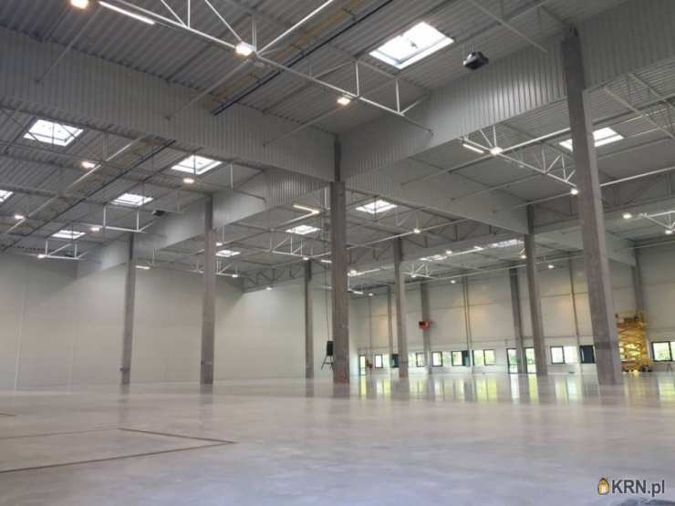 Lokal użytkowy  do wynajęcia, Stargard Szczeciński, ul. , 