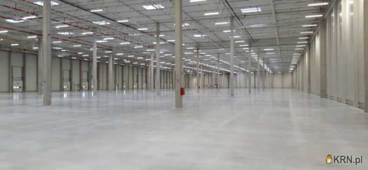 Lokal użytkowy  do wynajęcia, , Szczecin, ul. 