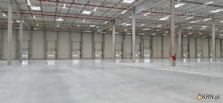 Szczecin, ul. , Lokal użytkowy  do wynajęcia, 