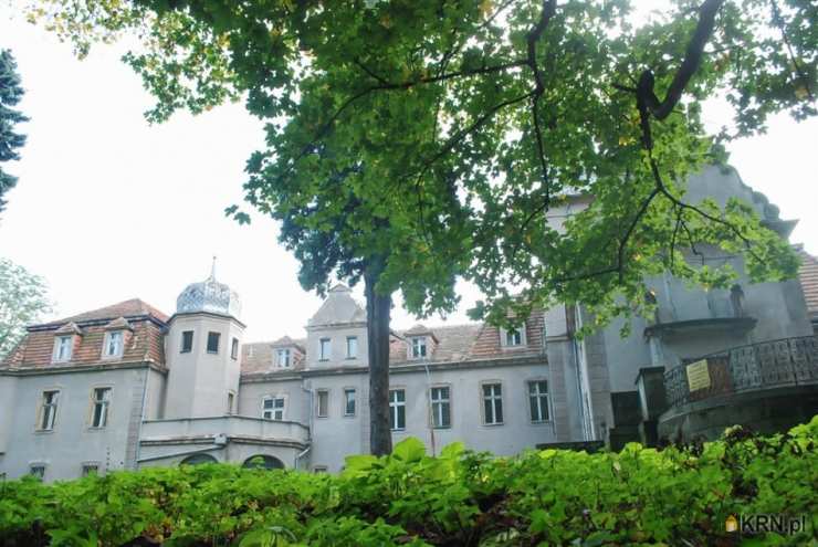 Wałbrzych, Rusinowa, ul. , 30 pokojowe, Lokal użytkowy  na sprzedaż