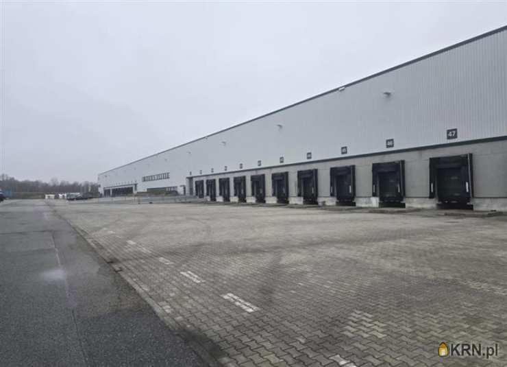 MW Sp. z o.o., Lokal użytkowy  do wynajęcia, Gdańsk, Kokoszki, ul. Budowlanych