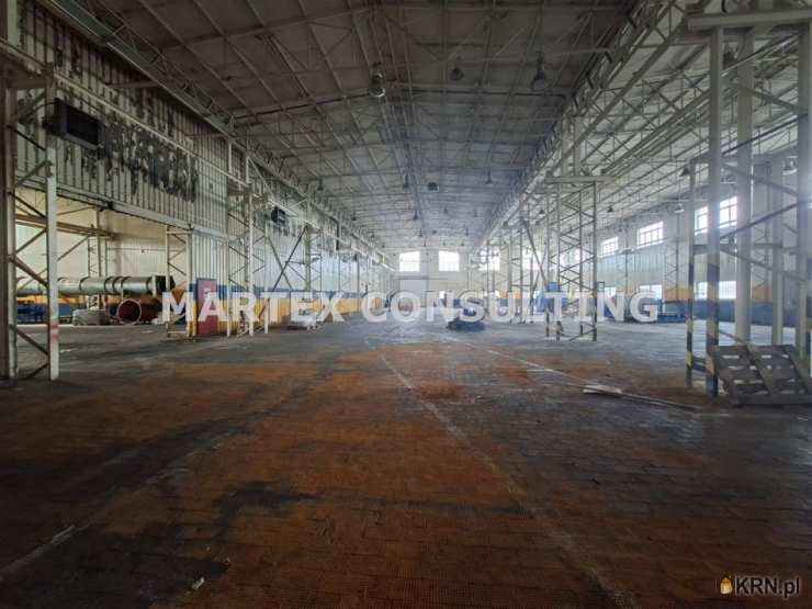 Lokal użytkowy  do wynajęcia, , Czeladź, ul. 