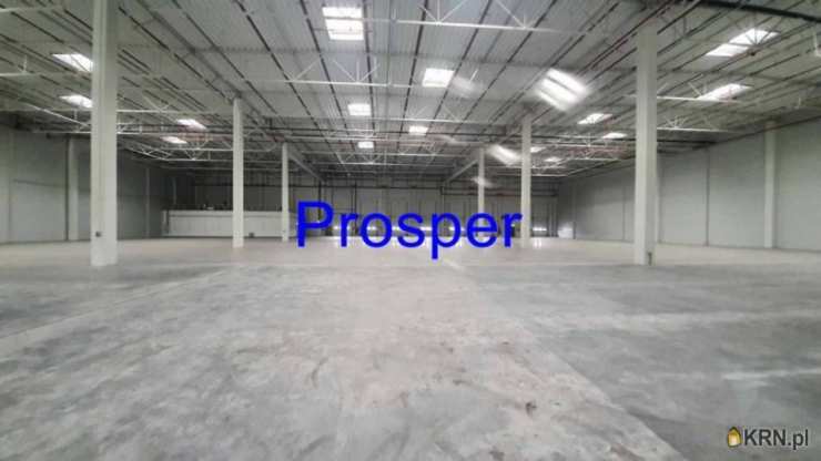 Katowice, ul. , Lokal użytkowy  do wynajęcia, 