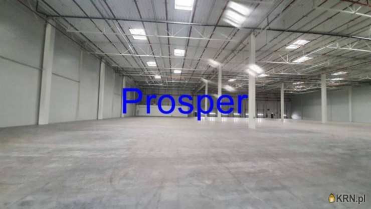 Katowice, ul. , , Lokal użytkowy  do wynajęcia