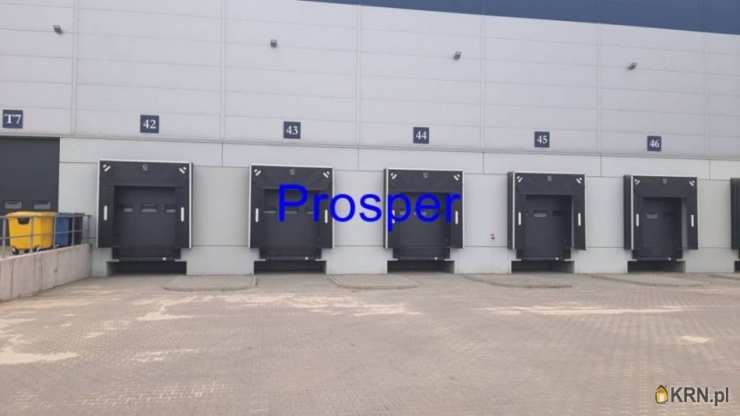 , Katowice, ul. , Lokal użytkowy  do wynajęcia