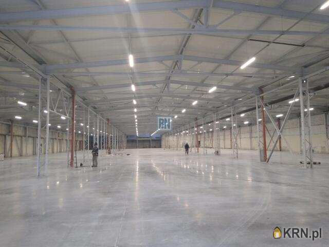 Lokal użytkowy  do wynajęcia, 10 pokojowe, Zabrze, ul. 