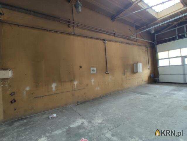 Lokal użytkowy  do wynajęcia, 1 pokojowe, Zabrze, ul. 