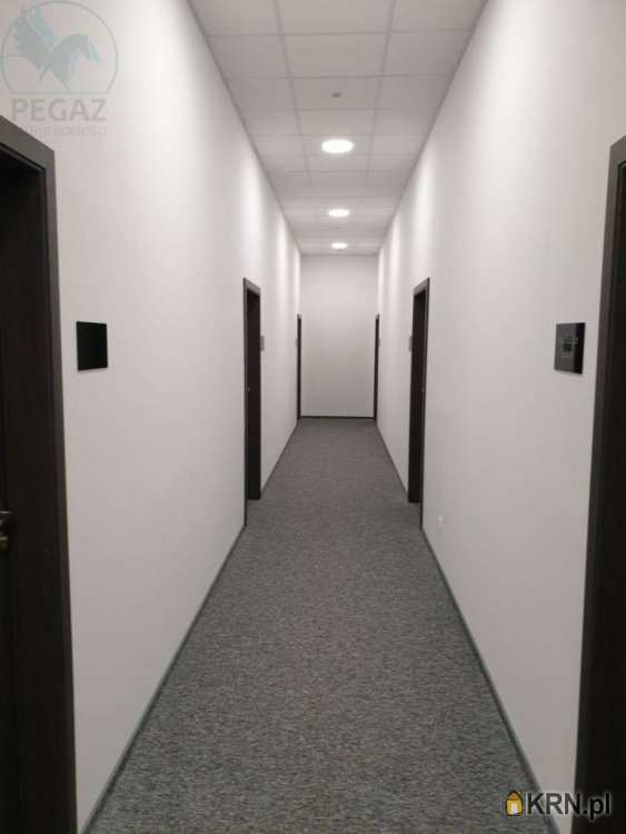 , Lokal użytkowy  do wynajęcia, Poznań, Grunwald/Górczyn, ul. Kopanina