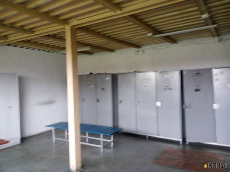 Lokal użytkowy  do wynajęcia, , Mysłowice, ul. 