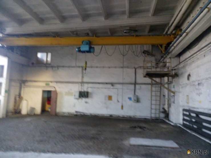 , Mysłowice, ul. , Lokal użytkowy  do wynajęcia