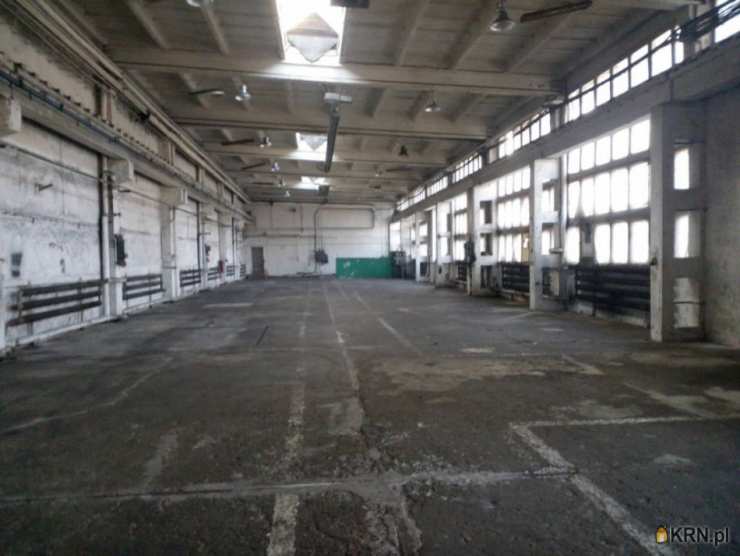 Lokal użytkowy  do wynajęcia, , Mysłowice, ul. 