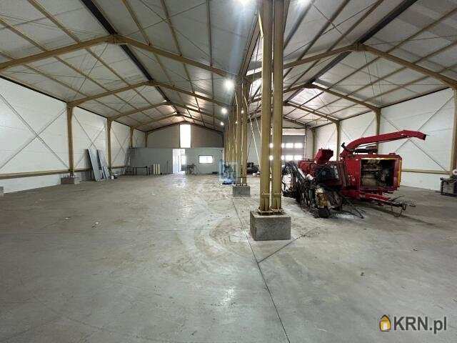 Lokal użytkowy  do wynajęcia, 3 pokojowe, Siemianowice Śląskie, ul. 