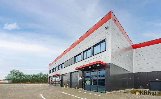 Lokal użytkowy  do wynajęcia, , Sosnowiec, ul. 