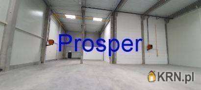 Sosnowiec, ul. , , Lokal użytkowy  do wynajęcia