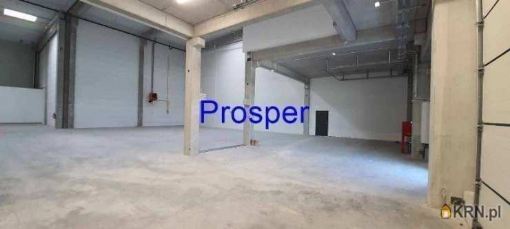 Lokal użytkowy  do wynajęcia, Sosnowiec, ul. , 