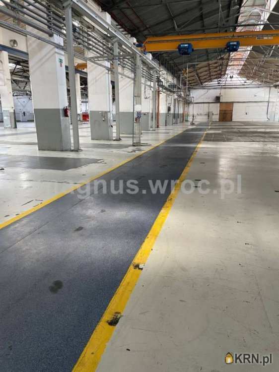 Wrocław, Fabryczna, ul. , Lokal użytkowy  do wynajęcia, 