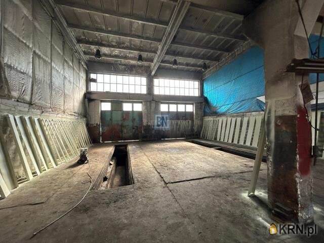 Zabrze, ul. , Lokal użytkowy  do wynajęcia, 10 pokojowe