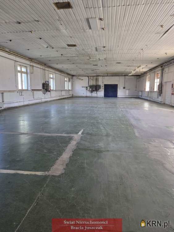 Długołęka, ul. , Lokal użytkowy  do wynajęcia, 