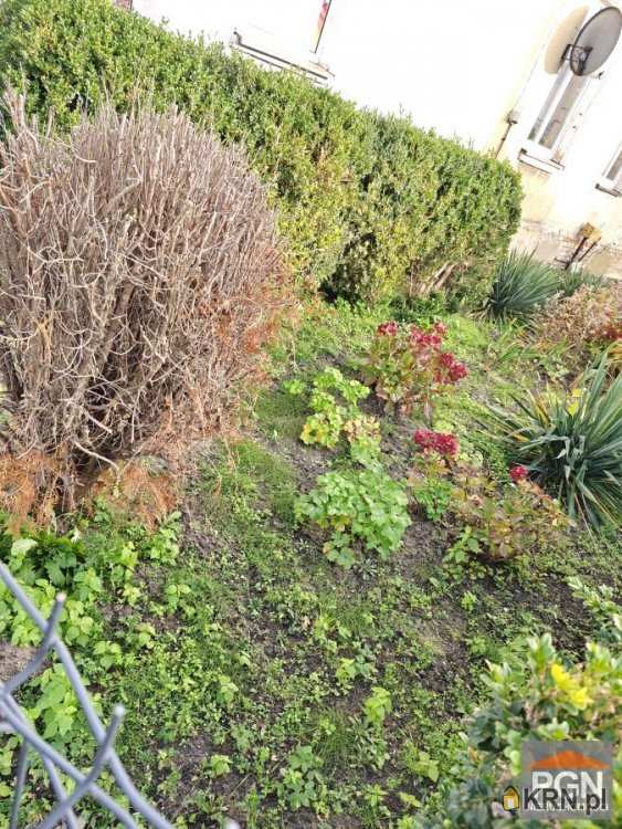 Trzebiatów, ul. Długa, 2 pokojowe, Lokal użytkowy  na sprzedaż