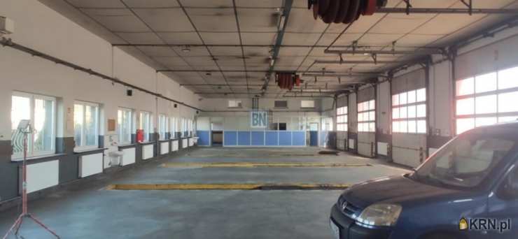 Lokal użytkowy  do wynajęcia, Dąbrowa Górnicza, ul. , 25 pokojowe