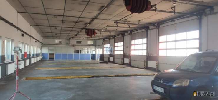 Lokal użytkowy  do wynajęcia, 25 pokojowe, Dąbrowa Górnicza, ul. 