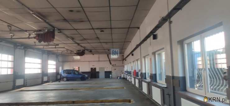 Dąbrowa Górnicza, ul. , Lokal użytkowy  do wynajęcia, 25 pokojowe