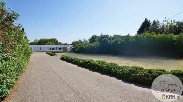 Lokal użytkowy  do wynajęcia, Mosina, ul. , 