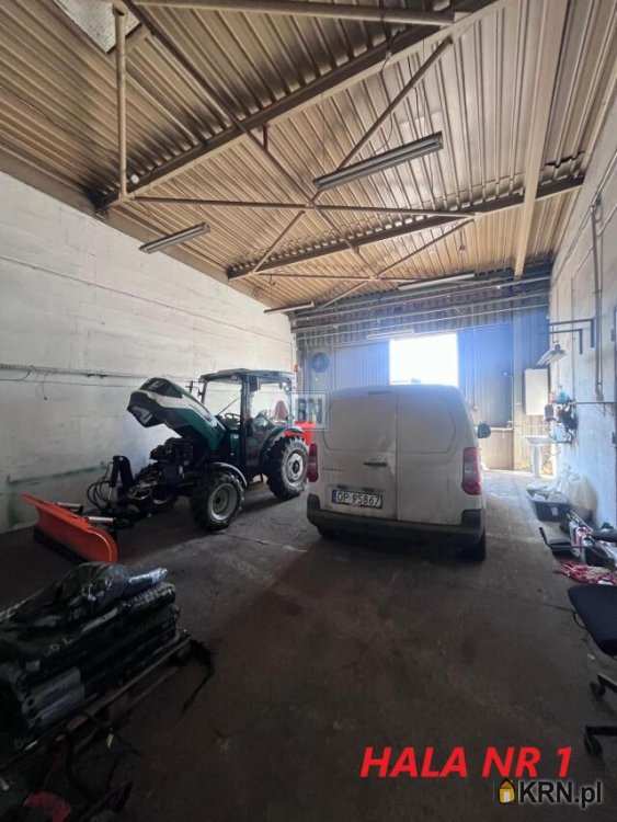 Katowice, ul. , Lokal użytkowy  do wynajęcia, 