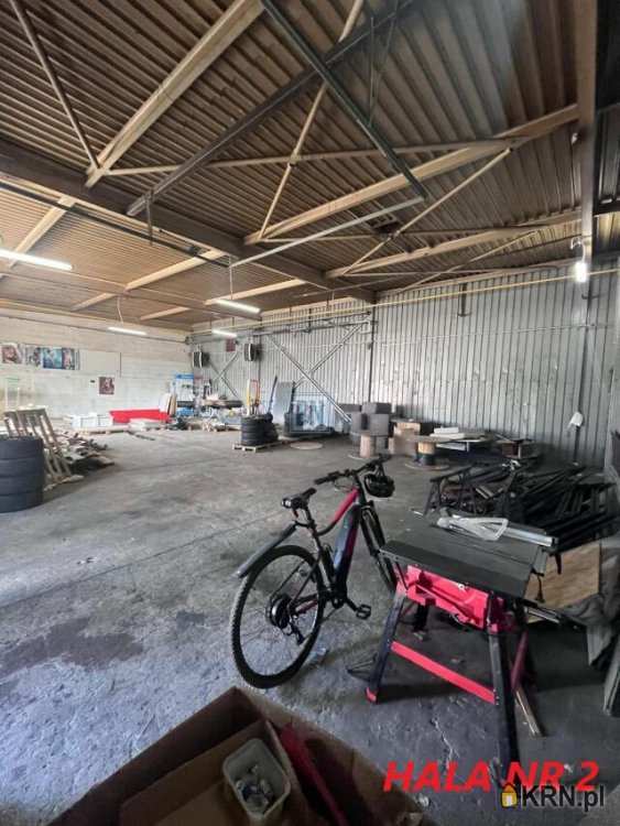 , Katowice, ul. , Lokal użytkowy  do wynajęcia