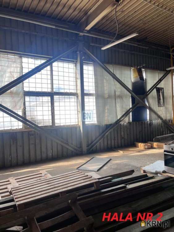 Lokal użytkowy  do wynajęcia, , Katowice, ul. 