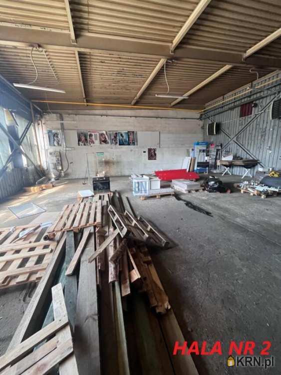 Katowice, ul. , Lokal użytkowy  do wynajęcia, 