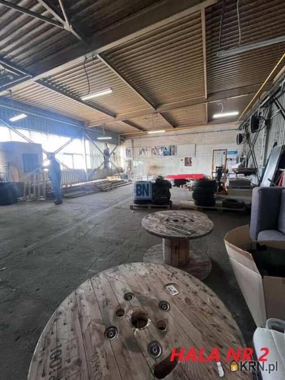 Katowice, ul. , , Lokal użytkowy  do wynajęcia